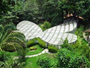 Instituto Humboldt y Jardín Botánico del Quindío <br> firman convenio para enriquecer los bosques andinos