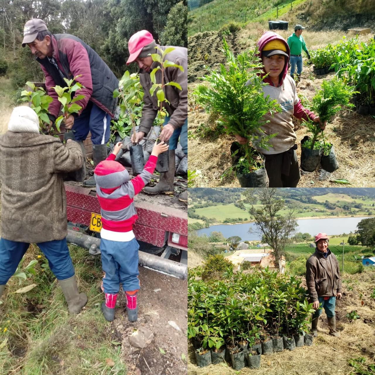 paramo-snack-siembra-arboles-nativos