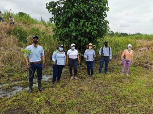 Proyecto Ecoaguas – Siembra de 1.655.100 árboles