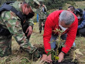 Alquería, en alianza con Minambiente y otras entidades<br> sembró 3.000 árboles nativos en la Reserva Nukuma