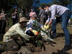 Estos son los cinco departamentos que más árboles han sembrado en el país