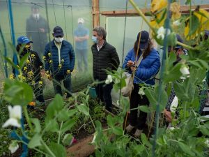 “Viveros, fábricas de vida y oxígeno que restauran los ecosistemas”: Ministro de Ambiente