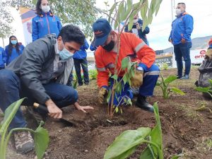 Los 10 municipios que más han sembrado árboles en Colombia