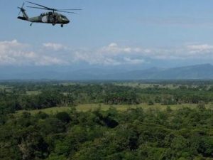 Semillas que caen del cielo: el piloto de restauración ecológica que lanzó Minambiente en la Amazonía