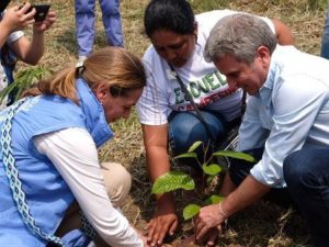 PNUD y Minambiente fortalecen la Red de Viverismo Comunitario de la Amazonía