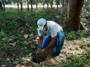 Se ejecutarán 11 proyectos para la restauración <br>y protección ecológica en el país​